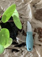 Morakniv Eldris LightDuty (S) Dusty Blue blistr (3)